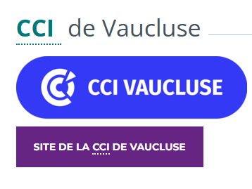 CCI ACCOMPAGNEMENT DES ENTREPRISES